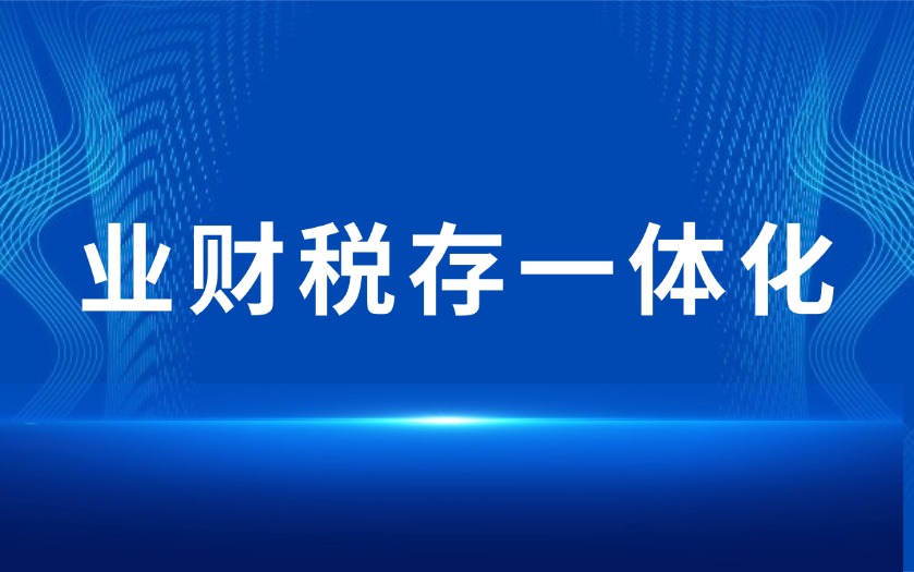 外贸企业数字化解决方案：业财税存一体化